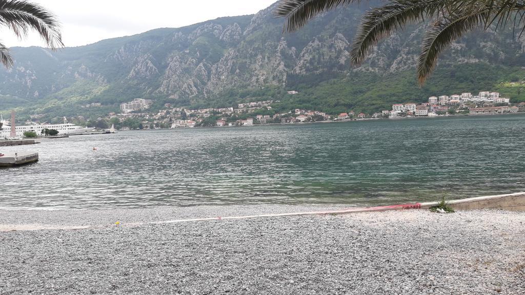 Apartment Todor Kotor Zewnętrze zdjęcie
